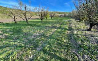 Tren Soporului Intravilan ,5500 MP Utilitati,  Oportunitate - Poză 7