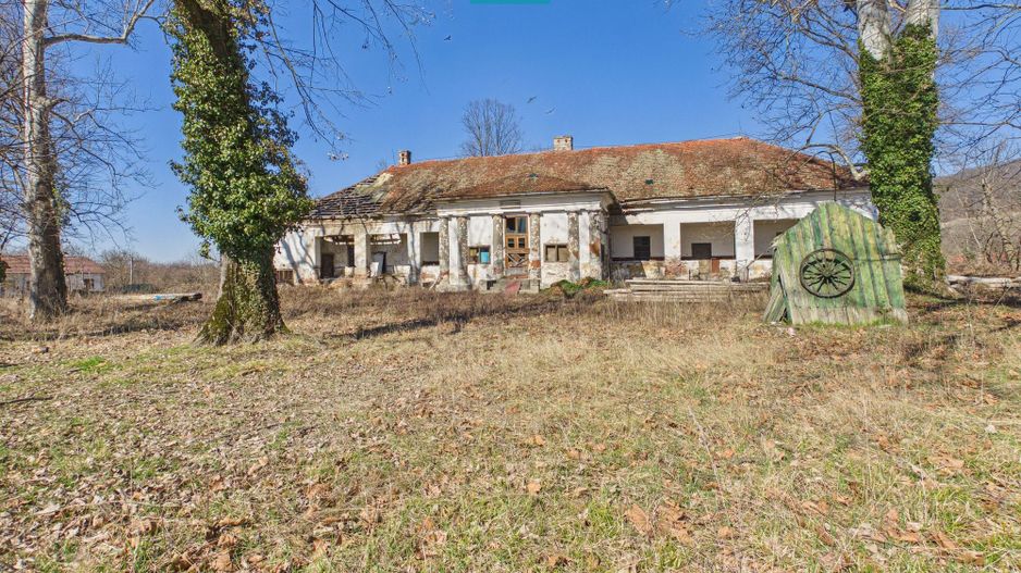 Conac nobiliar de secol XIX cu 8 camere în Maciova - Poză 2