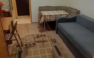 Garsonieră renovată, 1 cameră, Tudor Vladimirescu, lângă Iulius Mall - Poză 3