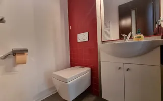 INCHIRIERE CASA 5 CAMERE | ZONA PIPERA - Poză 40