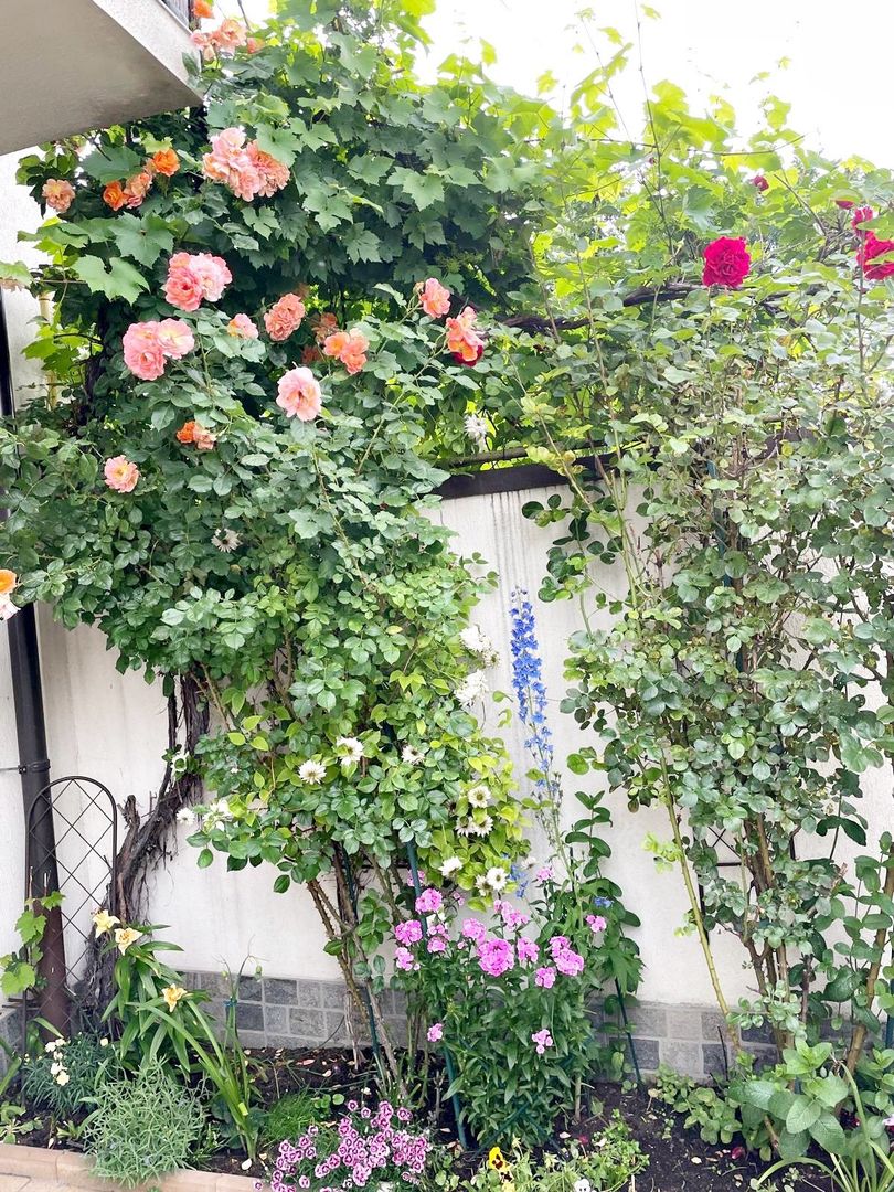 Bartolomeu, (zona strada Lungă), casa construcție 2009 - Poză 26