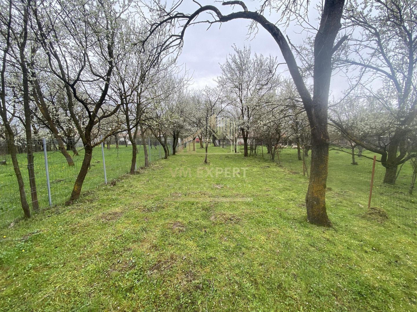 TEREN INTRAVILAN 1278 MP, VALEA MARE PRAVAT, ARGES - Poză 5