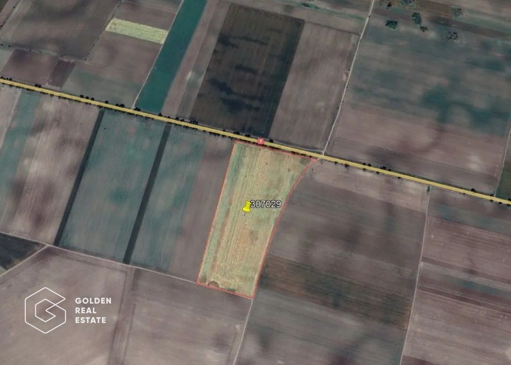 11 ha teren extravilan la DN 7 Seitin-Nandlac. Oportunitate de investitie! - Poză 2