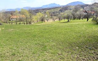 TEREN 2.495 MP | BRAN – SOHODOL | VEDERE PANORAMICĂ SPRE BUCEGI - Poză 4