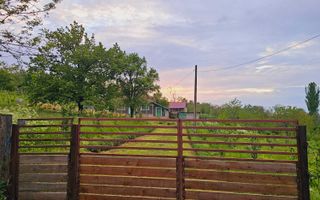 Casă de vânzare în satul Roșu, comuna Răducăneni, județul Iași – teren 5.000 mp cu livadă și vie - Poză 3