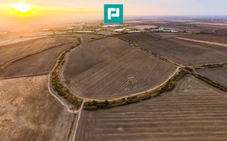 Teren arabil 68,800mp Zimandu Nou - Poză 4