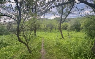 TEREN INTRAVILAN 7018 MP CAMPULUNG - Poză 17