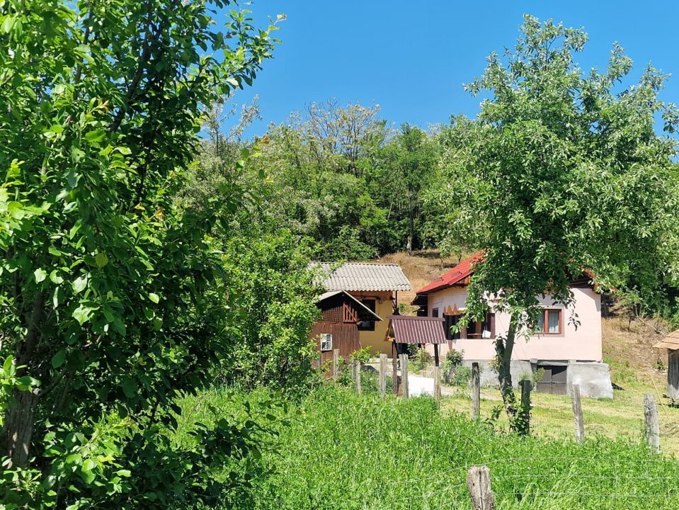  Proprietate în Comuna Botești, Județul Argeș – Zonă Pitorească și Liniștită ! - Poză 22