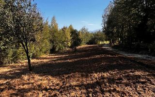 Parcele teren intravilan, cu utilitati - Bran, Tohanita - Poză 5