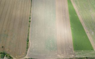 Teren extravilan 12.000 mp DN79 Arad-Oradea - Poză 2