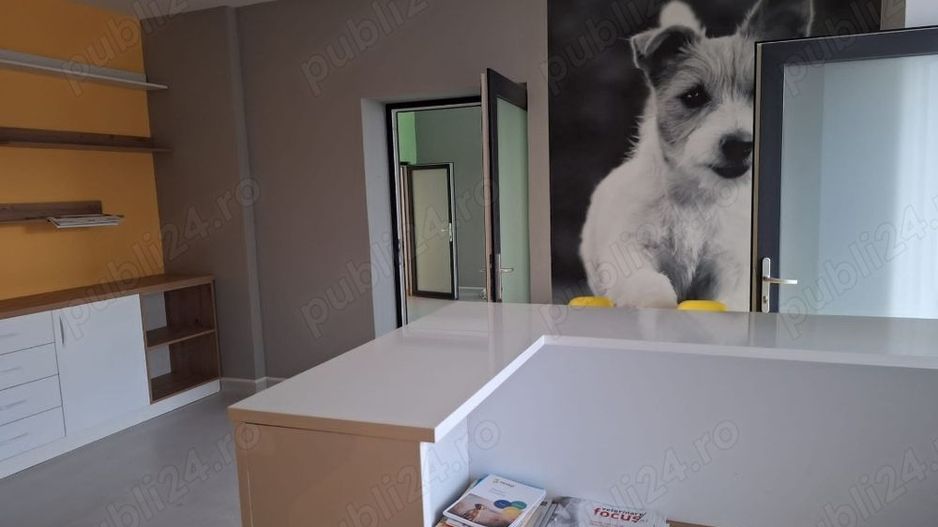 BRASADAS vinde casa 4 cam Sararie - Copou. - Poză 3