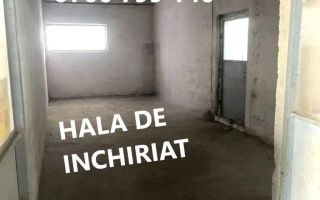Hala Industriala teren imprejmuit la doar 3 minute de centrul orasului - Poză 6