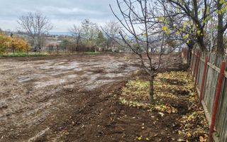 Teren intravilan 1021mp Ciurbesti - Poză 3