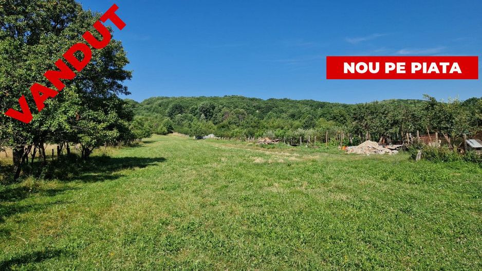 Vanzare teren intravilan, Smeura de Sus - Poză 1