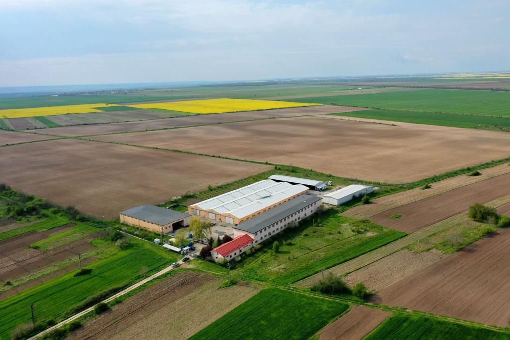 HALE INDUSTRIALE & PLATFORME BETONATE & TEREN INTRAVILAN 23500MP CRAIOVA - Poză 7