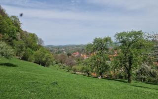 Langa emblematicul Castelul Bran, in areal colinar, 5.700mp intravilan - Poză 11