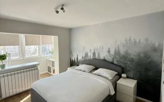 Apartament 3 camere decomandat | Zona Soarelui - Poză 4