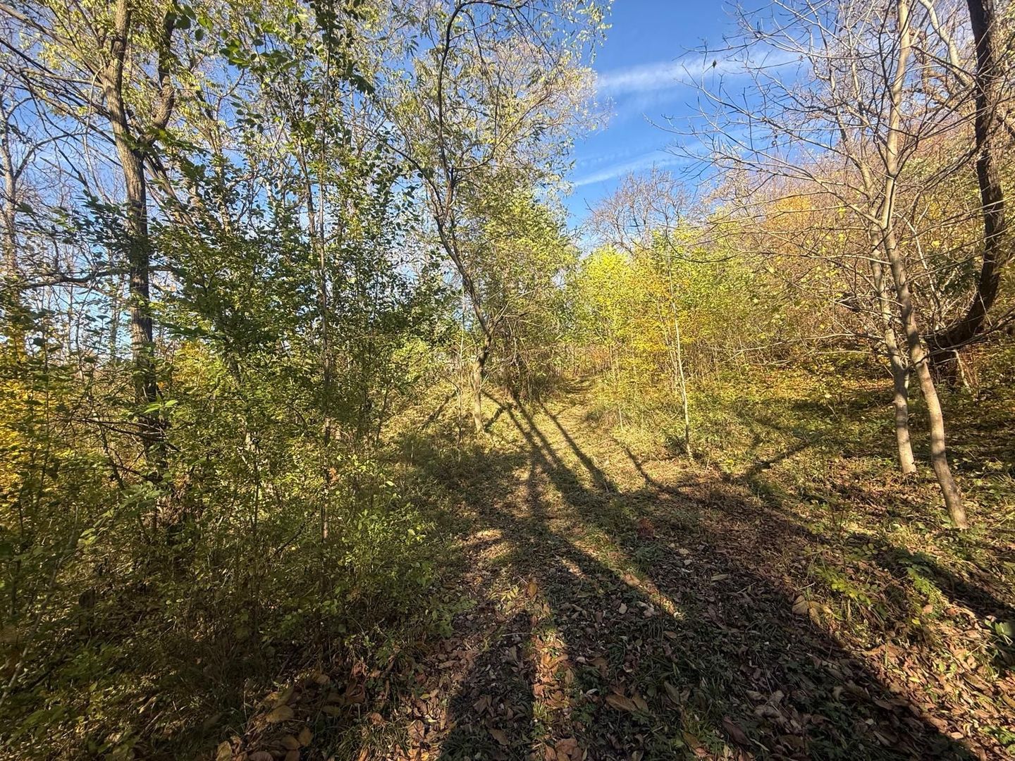 Teren langa pădure 6400mp+casa demolabila-deschidere 35 ml - Poză 8