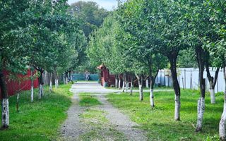 Casa | Foisor | Livada | Teren 2000 mp | Zizin | Brasov - Poză 23