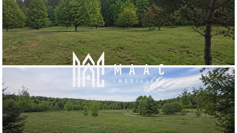 Teren extravilan 2000 mp | Rășinari | livadă, lângă Cisnădioara - Poză 2