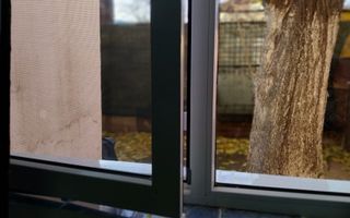 Apartament 2 camere curte proprie parter Prelungirea Ferentari/Salaj - Poză 7