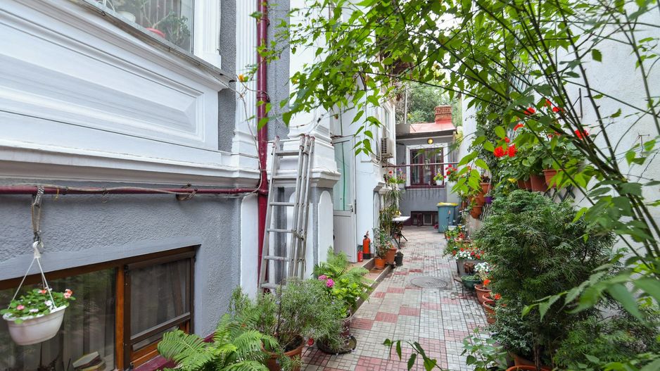 Casa individuală | Strada Plantelor | Curte proprie - Poză 4