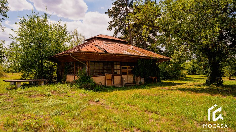 Vila Conac boieresc contelui Fabia 1920 de vânzare Păuliș Arad 2,4 ha - Poză 8