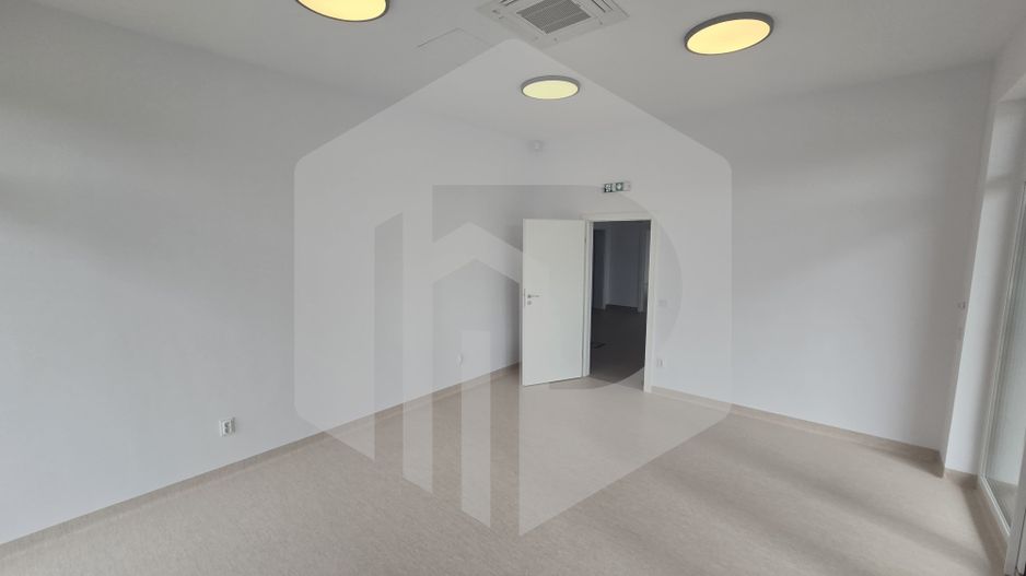 Spatiu comercial 125 mp 6 locuri parcare Doamna Stanca - Poză 2