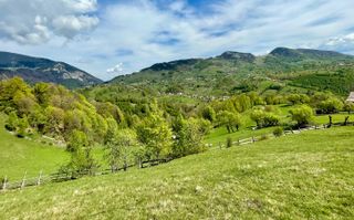 Teren in sat Pestera, comuna Moeciu. - Poză 5