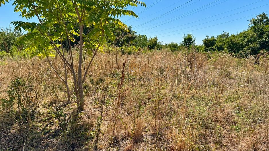 Teren 3.658 mp, deschidere la trei drumuri | Drumul Pogoanele - Poză 4