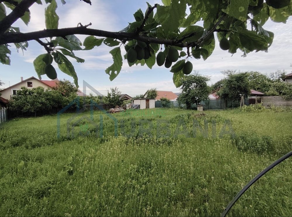 Teren intravilan de vanzare, Tomesti Vale, 813 mp, langa Family Market - Poză 2