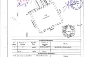 Teren intravilan in Frumusani - Poză 3