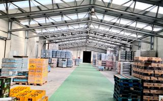 Depozit + 2600 mp teren - Poză 4