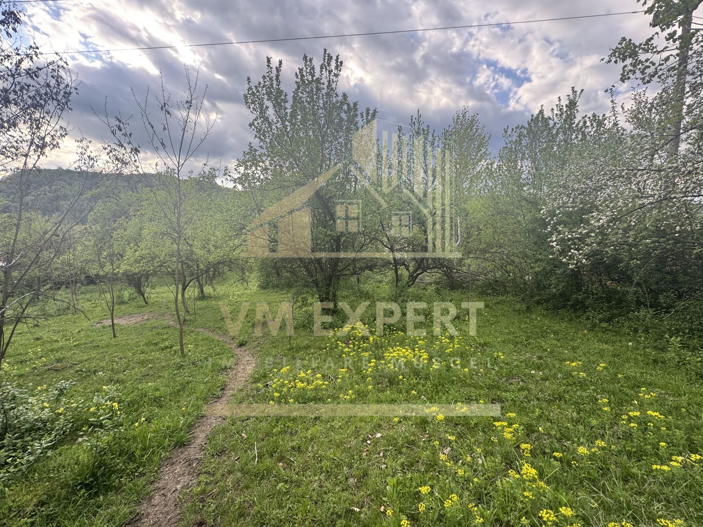 TEREN INTRAVILAN 7018 MP CAMPULUNG - Poză 6