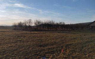 Teren 3500 mp-livada-Rusu Bargaului 13km de Bistrita - Poză 2