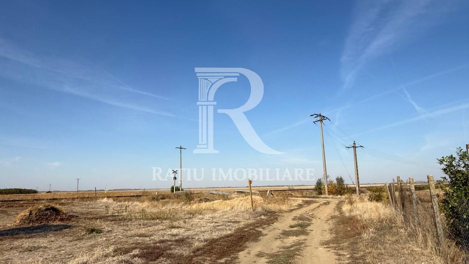 Teren intravilan agricol | 7029 mp | Satu Nou | Bihor - Poză 15