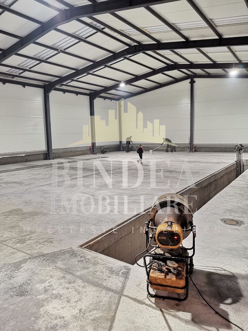 Hală 600mp + 4400mp teren– Giarmata, zonă industrială Construcție 2023 - Poză 1