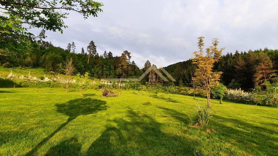 Teren cu PUZ - Tabara de Vacanta + Constructie Tiny Hous |  10 Cabane A-Frame - Poză 1