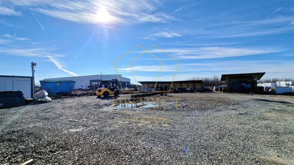 Teren / Platforma 1000mp de inchiriat | Mosnita Noua | Albina - Poză 2