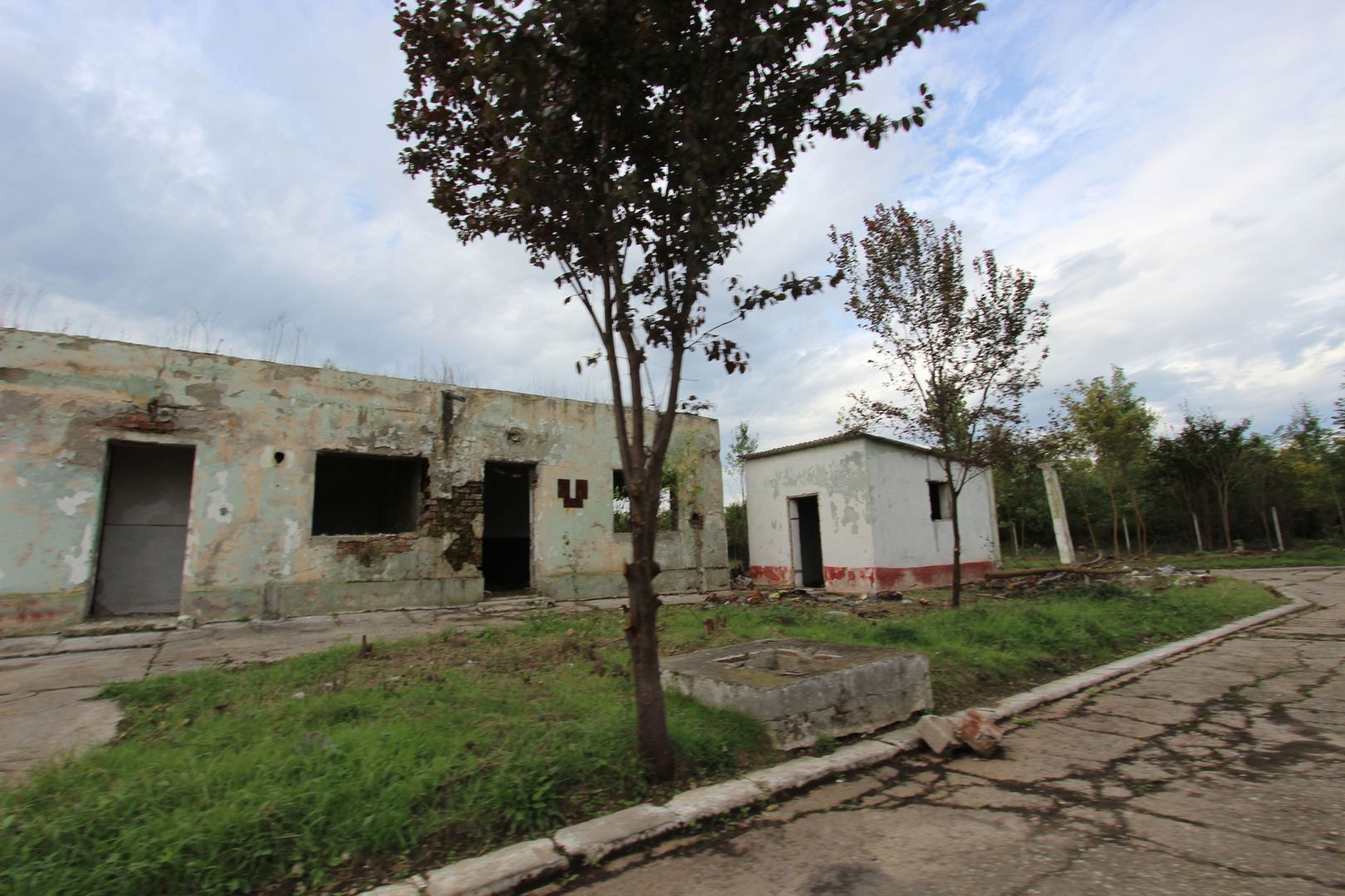 Vanzare hale Mosnita Noua-fosta Ferma 7 - Poză 13