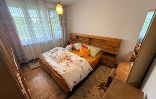 2 camere| cu vedere catre Bega-zona superba| apartament frumos, costuri mici|