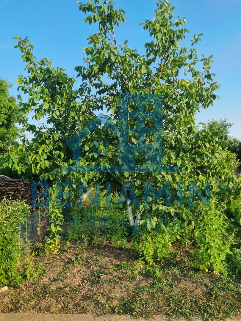 Teren 709mp utilitati asfalt Livezi, Podari, la 7,5 km de Craiova - Poză 3