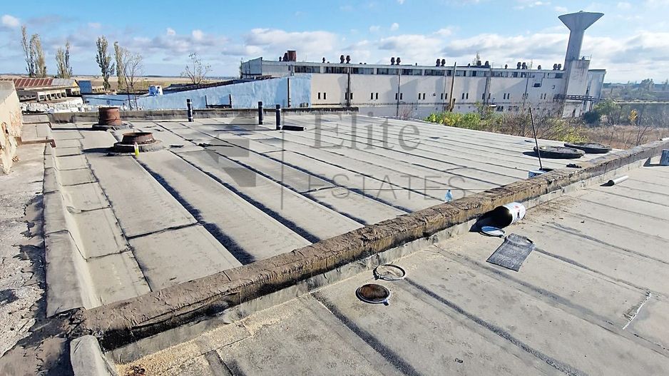 Complex industrial cu 4 hale și teren 15.568 mp in Salonta - Poză 5