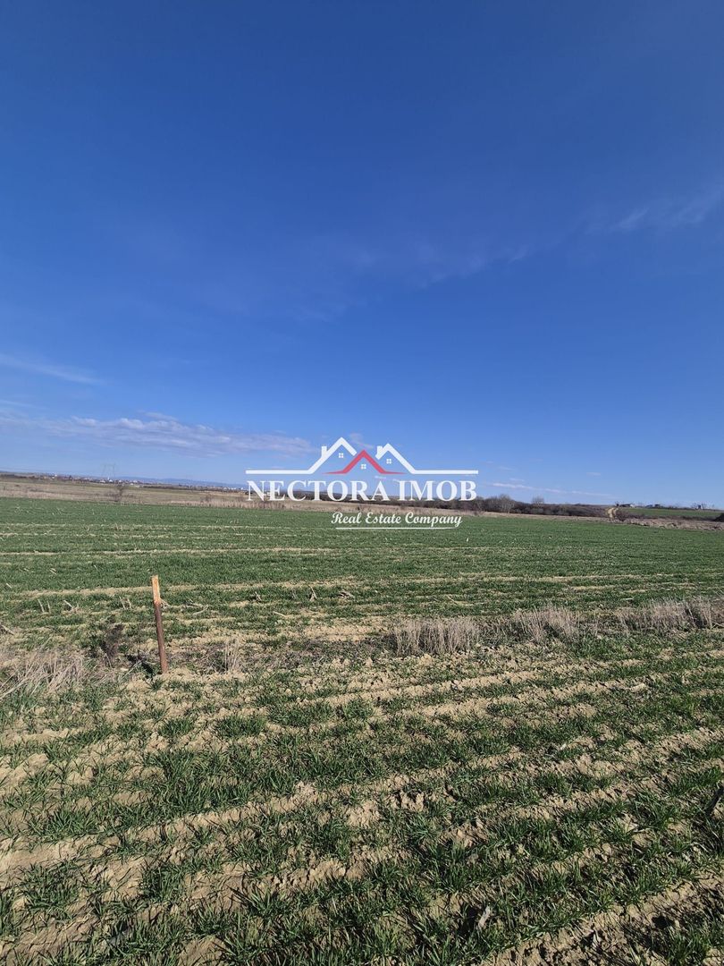 NECTORA IMOB-Teren Intravilan 537 mp, Zona Solay, 250 m de asfalt - Poză 4