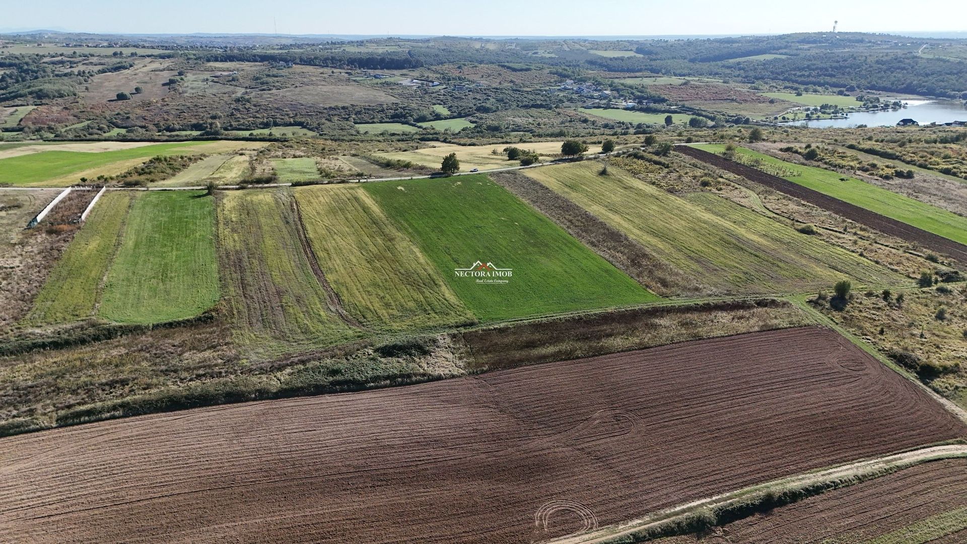 NECTORA IMOB-Teren Saldabagiu de Munte, aproape de Lac Paleu, 2880mp - Poză 4