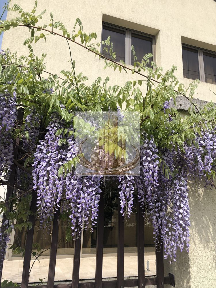 Vilă spectaculoasă în zona Brâncoveanu | 270 mp | Garaj| Curte proprie - Poză 4