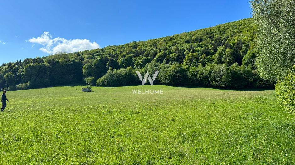 Teren Intravilan in Tocile-priveliste deosebita - Sadu - Sibiu - Poză 1