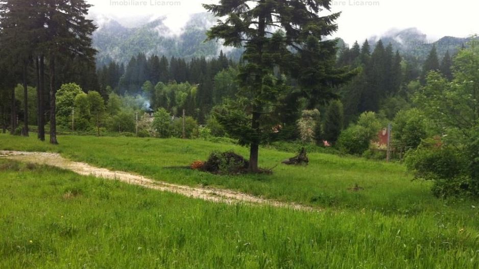 Teren intravilan Cotul Donului,pretabil Hotel/pensiune. - Poză 4