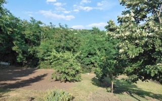 Vânzare teren pentru construcție locuință - Poză 4
