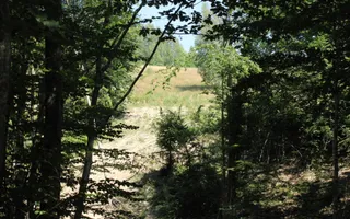 Poiana Sohodol I 5600 MP I Trei corpuri cladiri I Utilitati - Poză 51